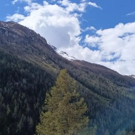 Le Chemin Des étoiles *