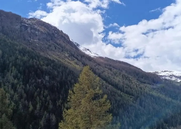 Le Chemin Des Etoiles *